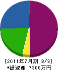 宮澤工業 貸借対照表 2011年7月期