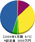 橋本建設 貸借対照表 2009年6月期