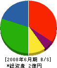 藤島建設 貸借対照表 2008年6月期