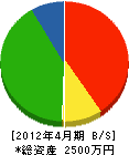 田島設備 貸借対照表 2012年4月期