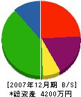 伊東工営所 貸借対照表 2007年12月期
