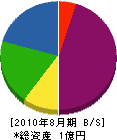 藤松睦 貸借対照表 2010年8月期