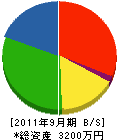 佐藤緑化建設 貸借対照表 2011年9月期