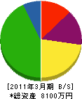 鈴木大建興業 貸借対照表 2011年3月期
