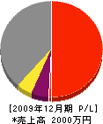 丸敬セメント工業 損益計算書 2009年12月期
