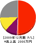 伊藤ラジオ 損益計算書 2009年12月期