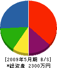 横濱建設 貸借対照表 2009年5月期