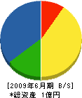 川東鋼業 貸借対照表 2009年6月期