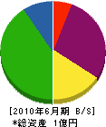 新栄丸 貸借対照表 2010年6月期