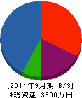 谷川組 貸借対照表 2011年9月期