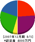 栄和工業 貸借対照表 2007年12月期