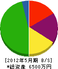 村崎組 貸借対照表 2012年5月期