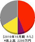 桜井電気工業所 損益計算書 2010年10月期