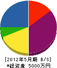 斉藤造園 貸借対照表 2012年5月期