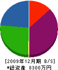 岩井設備工業 貸借対照表 2009年12月期