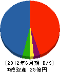 松本建設 貸借対照表 2012年6月期