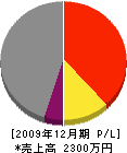 上田工務店 損益計算書 2009年12月期