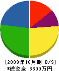 宮口木材 貸借対照表 2009年10月期