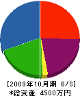 綾部工務店 貸借対照表 2009年10月期