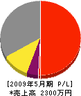 川島製作所 損益計算書 2009年5月期