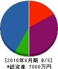 九州トラスト 貸借対照表 2010年8月期
