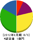 和田設備 貸借対照表 2012年6月期