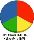 早田工務店 貸借対照表 2010年6月期