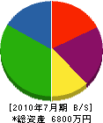 佐藤興業 貸借対照表 2010年7月期