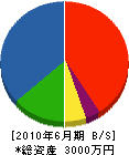 川竹庭園 貸借対照表 2010年6月期