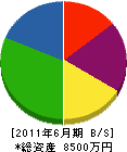 廣田建設 貸借対照表 2011年6月期