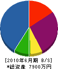鶴田建設 貸借対照表 2010年6月期
