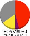 篠田塗装 損益計算書 2009年3月期