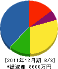 渡瀬建設 貸借対照表 2011年12月期