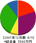 錦工務店 貸借対照表 2007年12月期