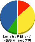 早田設備 貸借対照表 2011年6月期