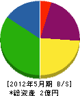 勝川建設 貸借対照表 2012年5月期