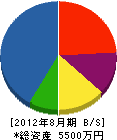 渡辺水道店 貸借対照表 2012年8月期