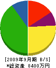 津島電工 貸借対照表 2009年9月期