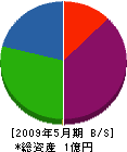 藤誠塗装工業店 貸借対照表 2009年5月期