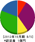 竹平建設 貸借対照表 2012年10月期