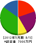 羽田野組 貸借対照表 2012年5月期