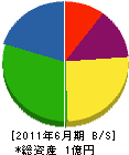 仁田脇組 貸借対照表 2011年6月期