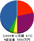 永島建設 貸借対照表 2009年12月期