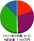 大塚造園建設 貸借対照表 2011年9月期