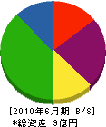 川嶋機械 貸借対照表 2010年6月期