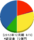 日本フローサーブ 貸借対照表 2012年12月期