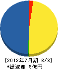 江戸川電気工業 貸借対照表 2012年7月期
