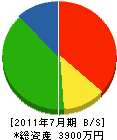 川名石材工業 貸借対照表 2011年7月期