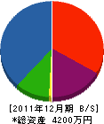 須藤電気商会 貸借対照表 2011年12月期