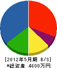 菅組 貸借対照表 2012年5月期